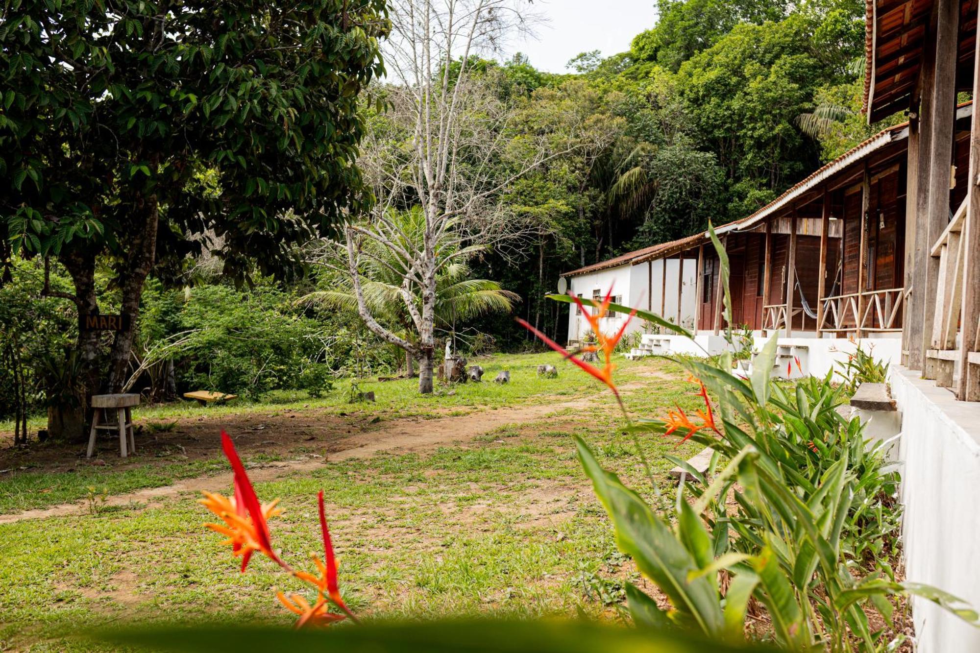Refugio Mari Mari Lodge Presidente Figueiredo Luaran gambar