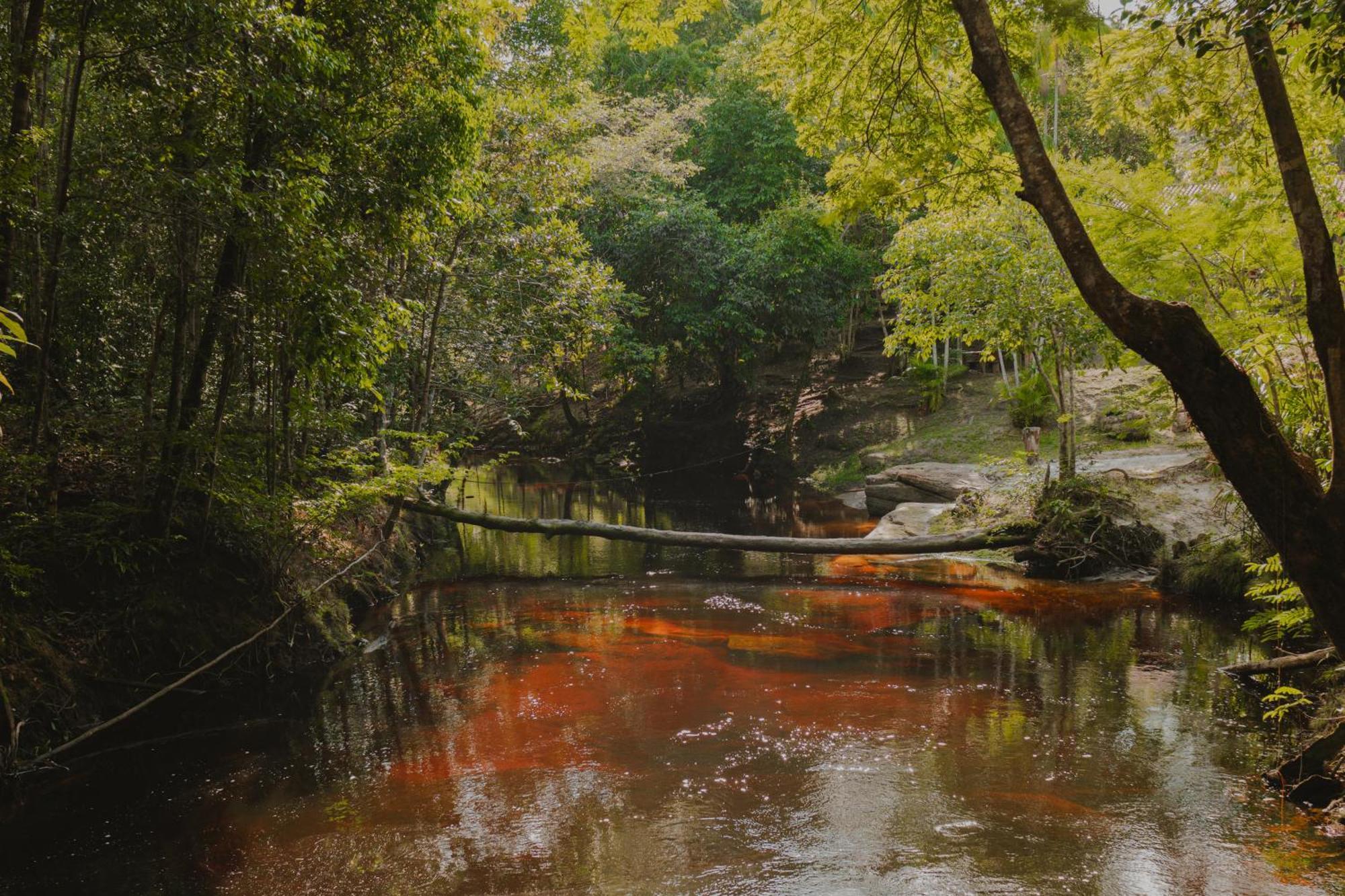 Refugio Mari Mari Lodge Presidente Figueiredo Luaran gambar
