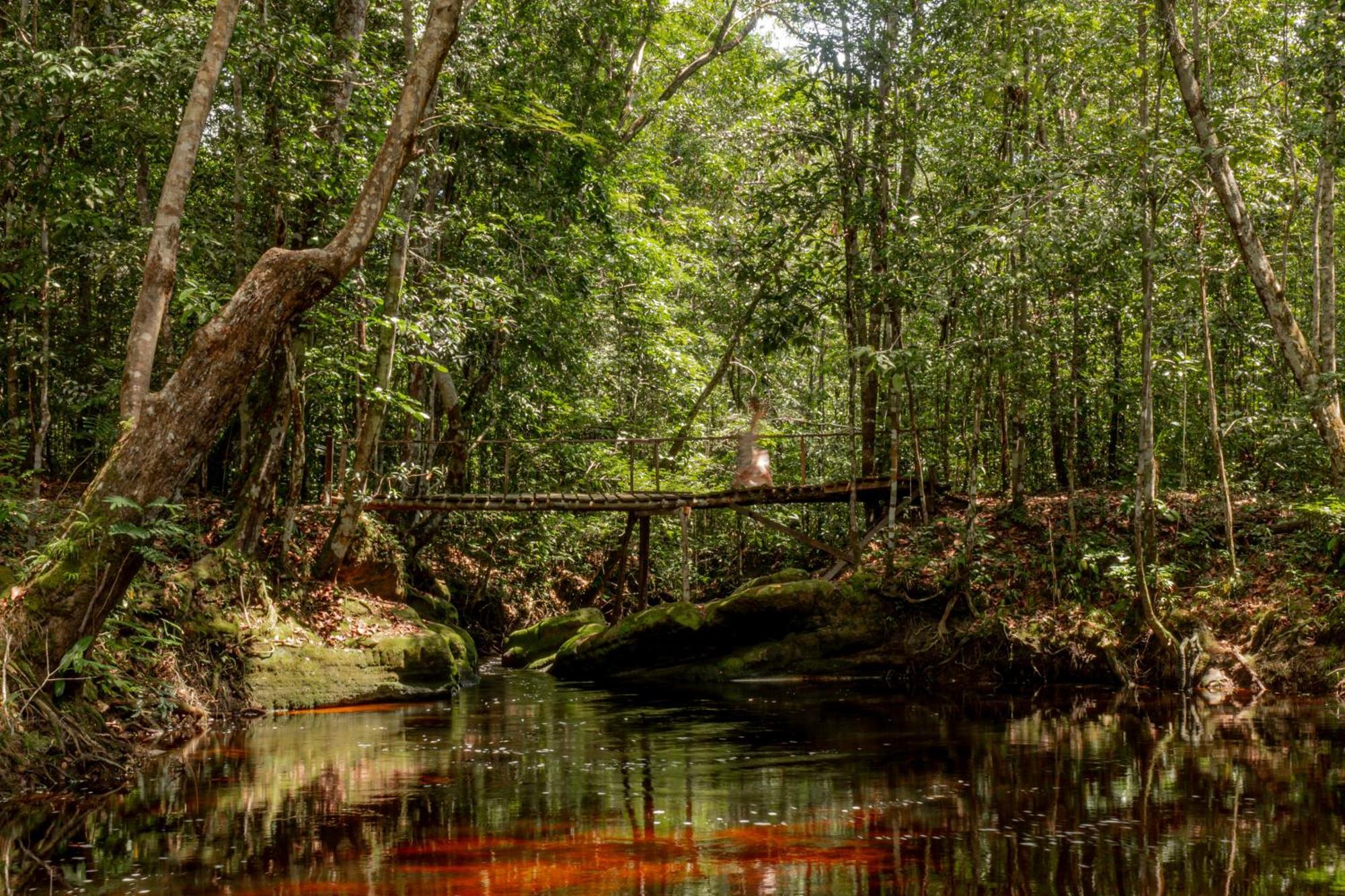 Refugio Mari Mari Lodge Presidente Figueiredo Luaran gambar