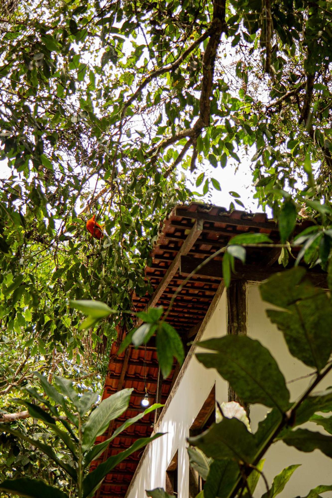 Refugio Mari Mari Lodge Presidente Figueiredo Luaran gambar