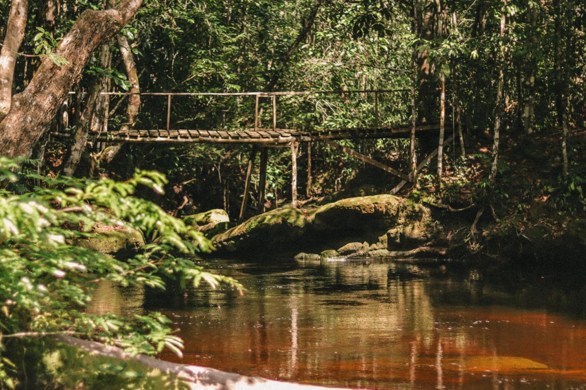 Refugio Mari Mari Lodge Presidente Figueiredo Luaran gambar